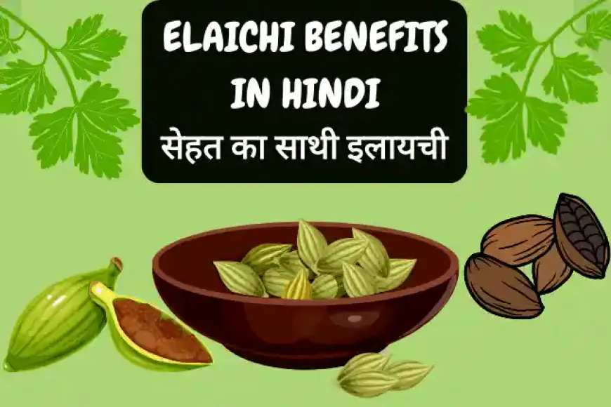 Elaichi Benefits in Hindi - सेहत का साथी इलायची के फायदे