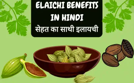 Elaichi Benefits in Hindi - सेहत का साथी इलायची के फायदे