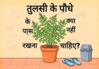 तुलसी के पौधे के पास क्या नहीं रखना चाहिए?